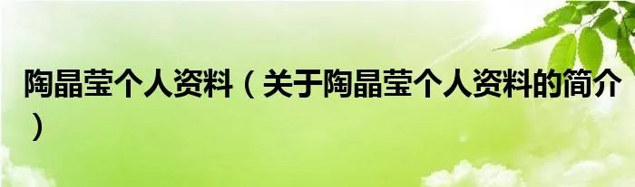 陶晶莹个人资料（关于陶晶莹个人资料的简介）