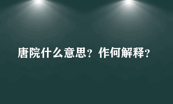唐院什么意思？作何解释？