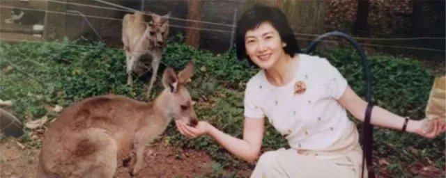 程晓玥个人资料介绍 程晓玥简介