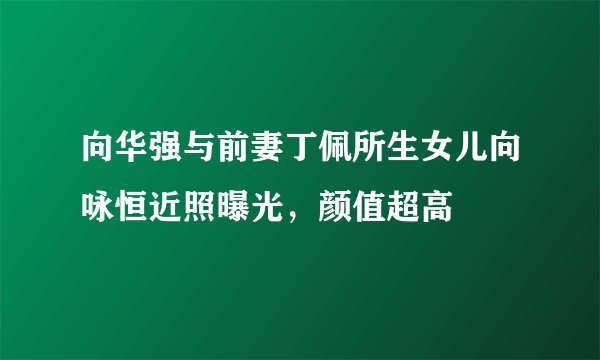 向华强与前妻丁佩所生女儿向咏恒近照曝光，颜值超高
