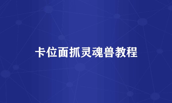 卡位面抓灵魂兽教程
