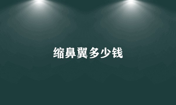 缩鼻翼多少钱