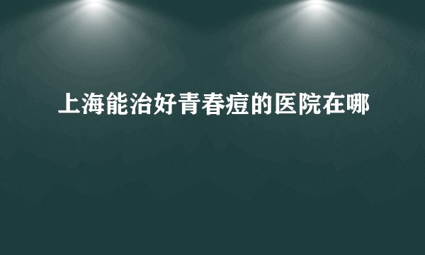 上海能治好青春痘的医院在哪
