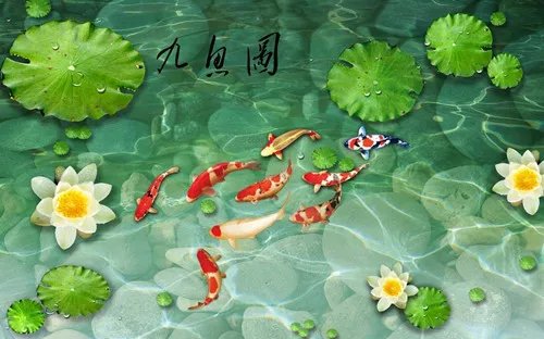 九鱼荷花图挂那里合适 怎样选择一幅好看的图