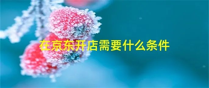 在京东开店需要什么条件
