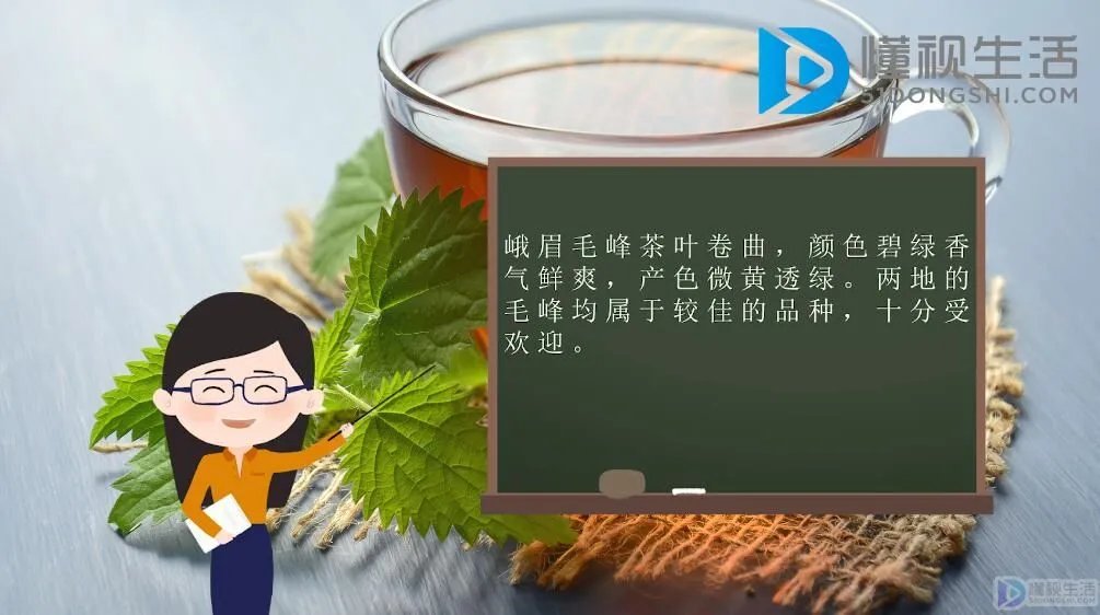 毛峰是绿茶吗
