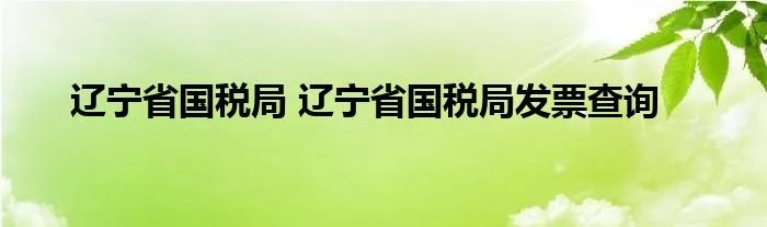 辽宁省国税局 辽宁省国税局发票查询