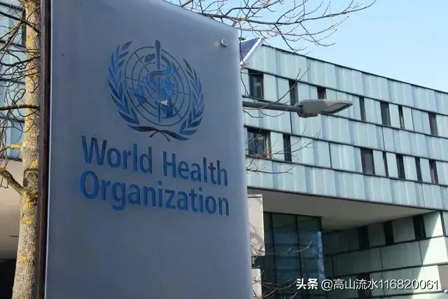 美国退出世卫组织有何后果?