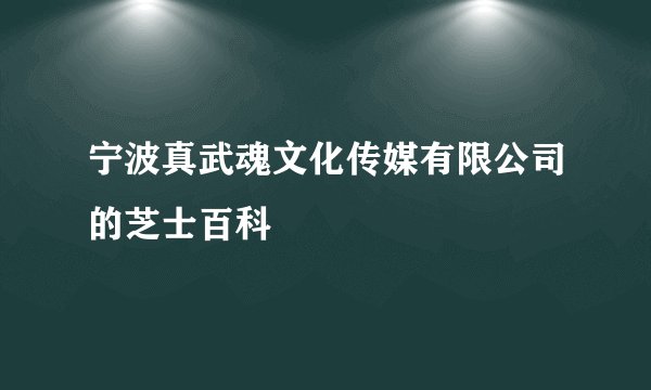 宁波真武魂文化传媒有限公司的芝士百科