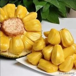 菠萝菠萝蜜视频在线观看
