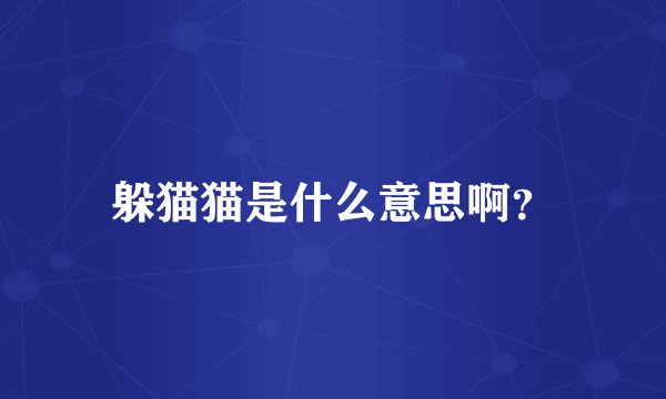 躲猫猫是什么意思啊？