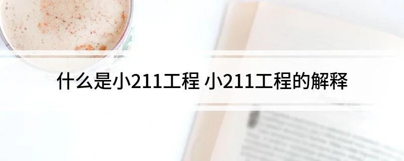 什么是小211工程 小211工程的解释