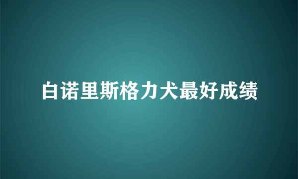 白诺里斯格力犬最好成绩
