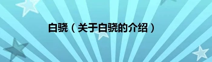 白骁（关于白骁的介绍）