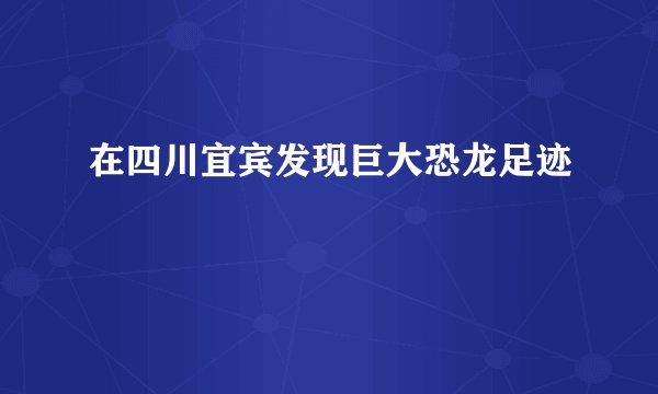 在四川宜宾发现巨大恐龙足迹