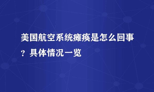 美国航空系统瘫痪是怎么回事？具体情况一览