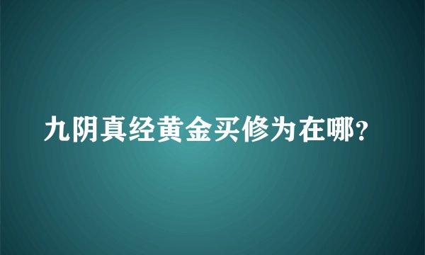 九阴真经黄金买修为在哪？