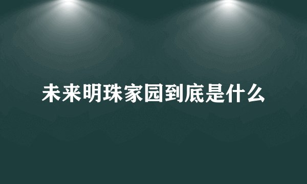 未来明珠家园到底是什么
