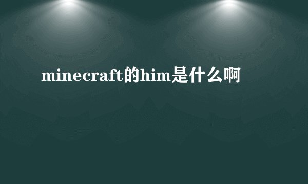 minecraft的him是什么啊